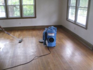 Mold Remediation in Maryland Foreclosed Home