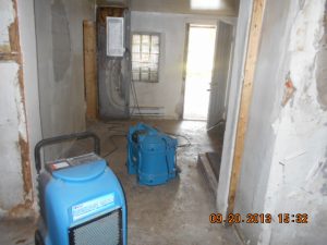 Mold Remediation in Maryland Foreclosed Home Basement