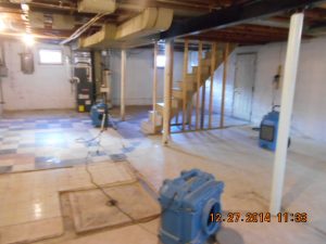 Mold Remediation in Maryland Foreclosed Home Basement